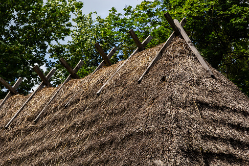 Traditional Ukrainian old house under a thatched roof on the background of the forest on a summer sunny day.