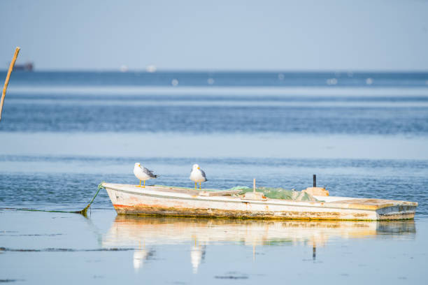 istock Djerba,  southern Tunisia 1483230212