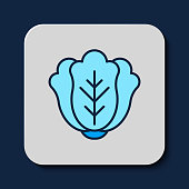 istock Filled outline Fresh cabbage vegetable icon isolated on blue background. Vector 1483237144