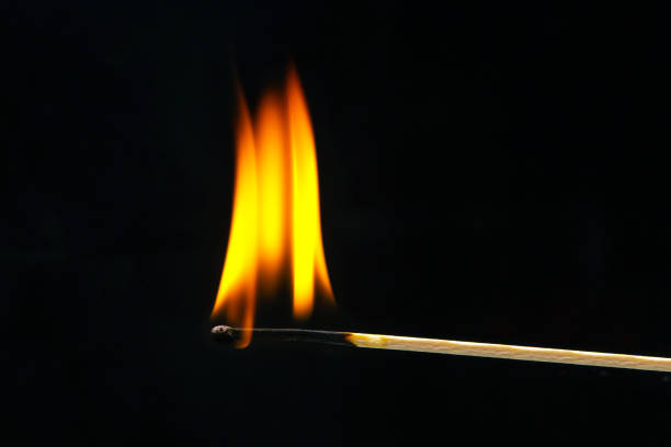 istock Burning wood match on a dark background close-up. burning tree fire 1483237815