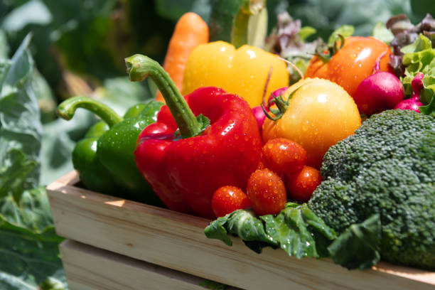 Wooden crate filled with fresh organic vegetables