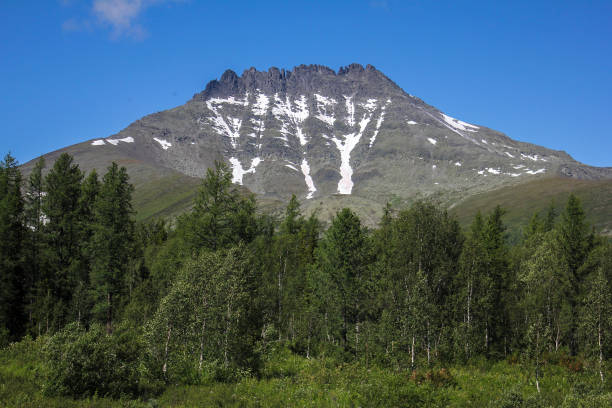 istock Manaraga peak in Nether-Polar Ural, Russia 1483239260