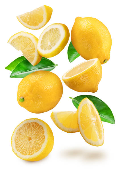 istock Ripe lemon fruits, lemon leaves and slices falling down on white background. 1483240081