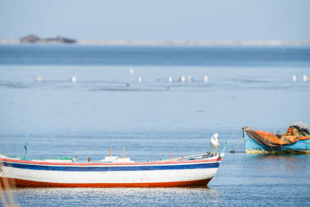 istock Djerba,  southern Tunisia 1483240129