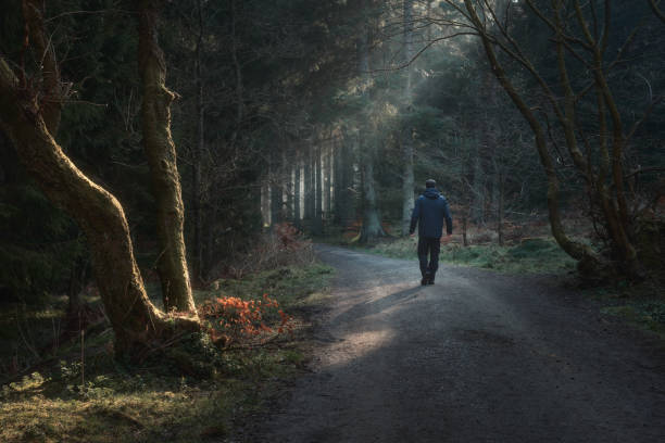 Man walking in a lane in the park with the sunlight breaking through the trees stock photo