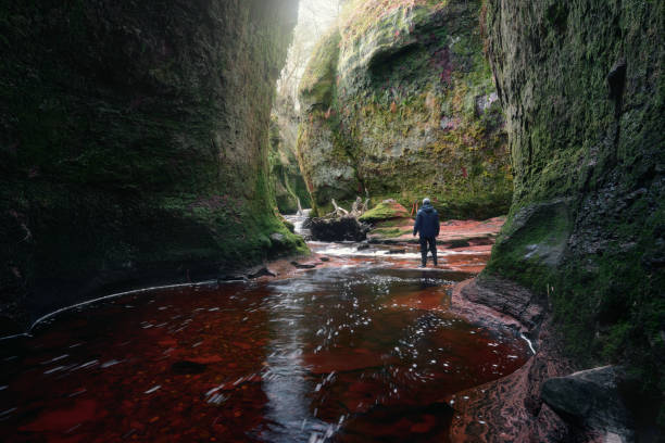 A man in a gorge covered in moss with a small river of red water stock photo