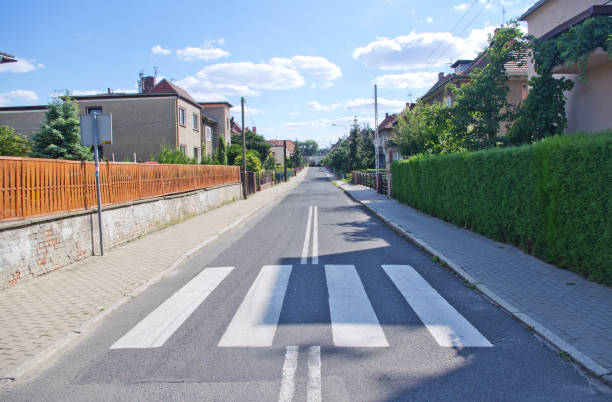 istock Pedestrian crossing on the road 1483240381