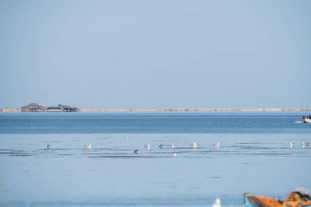 istock Djerba,  southern Tunisia 1483240404