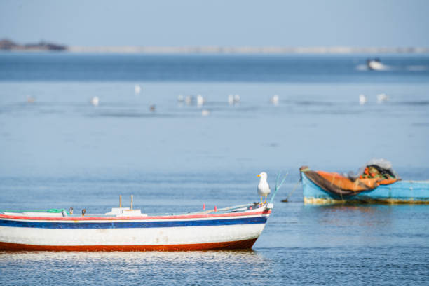 istock Djerba,  southern Tunisia 1483240697