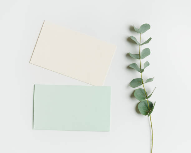 istock Blank green cards for text on light white background, Greeting or invitation card with eucalyptus branches. Minimal aesthetic lifestyle. Natural organic eco conceptual photo, flat lay 1483241862