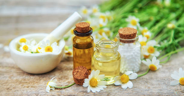 istock Chamomile essential oil in a small bottle. Selective focus. 1483245533