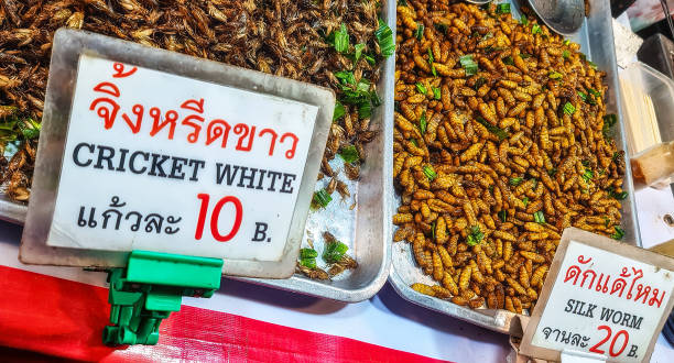 insects and worms at a market in the city of Chiang Rai. stock photo