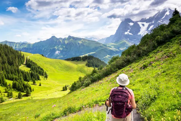 woman hiking through the Mountain view trail in the Swiss Alps in the Jungfrau region. The Mountain view trail hike from Murren and leads over the Alpine meadows and through forests from Allmendbhubel to Grutschlap with fantastic views of Eiger, Monch and Jungfrau peaks.