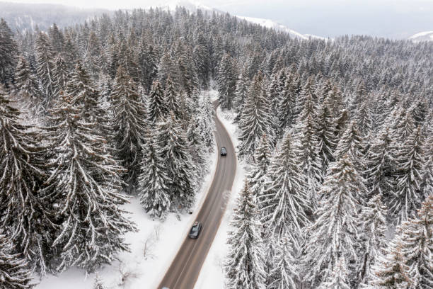 istock Drone view at mountain road at winter 1483251647