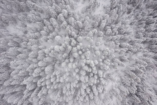 istock Drone view at mountain in winter 1483251648
