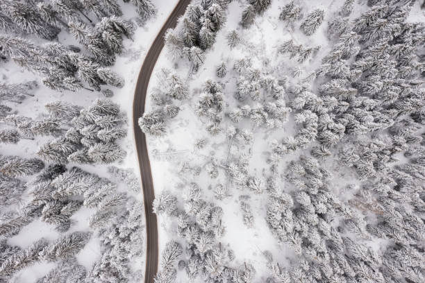 istock Drone view at mountain road at winter 1483251665