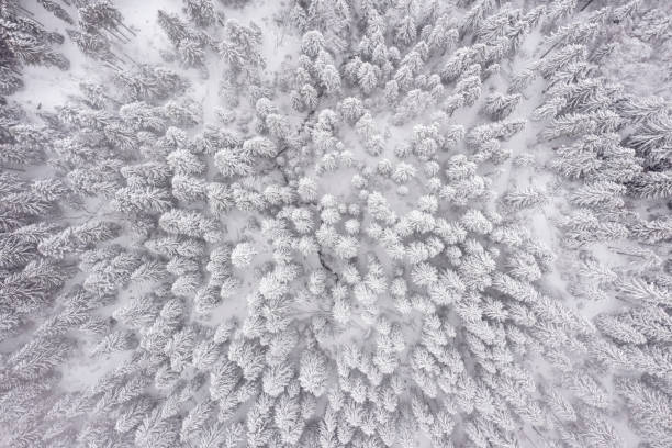 istock Drone view at mountain in winter 1483251668