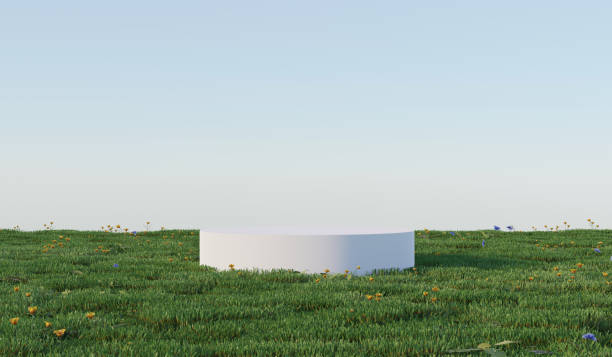 istock 3D white podium or stage for packaging presentation and cosmetic. mock-up product scene with green grass background. 3d rendering nature concept style 1483253882