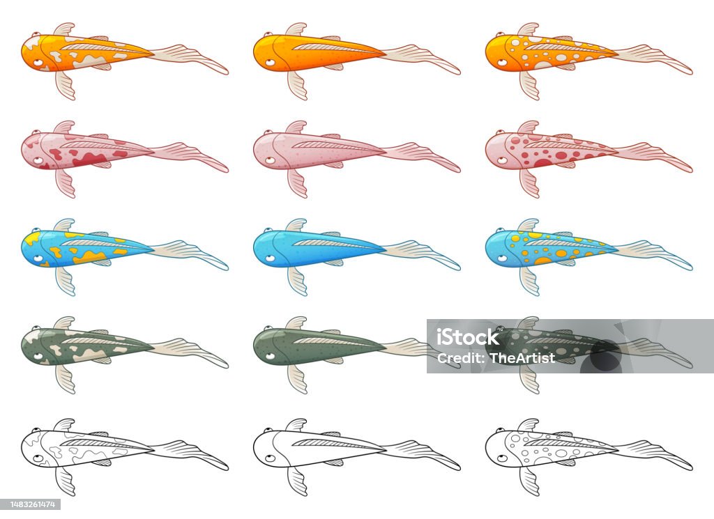 Plan Fish Vector Fish Vector Design Illustration Isolated On White Background Stock ...