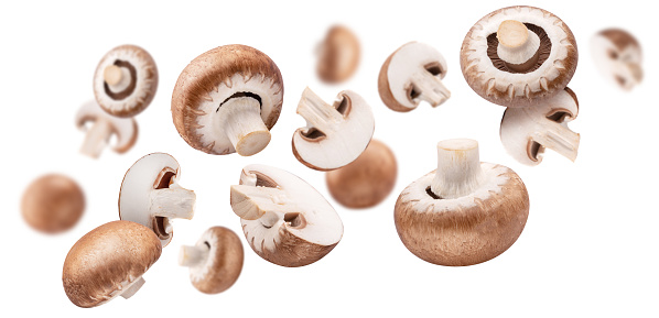 Flying brown cap champignons or agaricus mushrooms isolated on white background. Close-up.