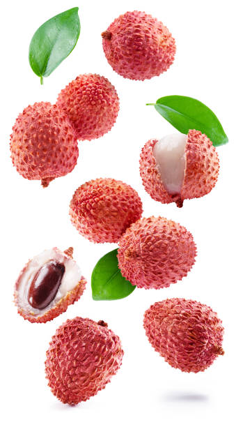 istock Whole and opened lychee fruit isolated on white background. 1483261501