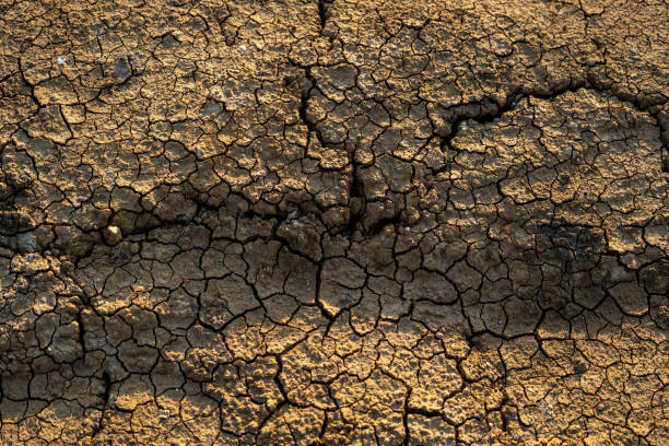 istock Global warming Dry cracks in the land Drought surface Climate changes the soil. 1483264987