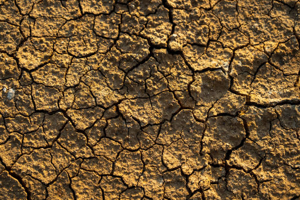 istock Global warming Dry cracks in the land Drought surface Climate changes the soil. 1483265864