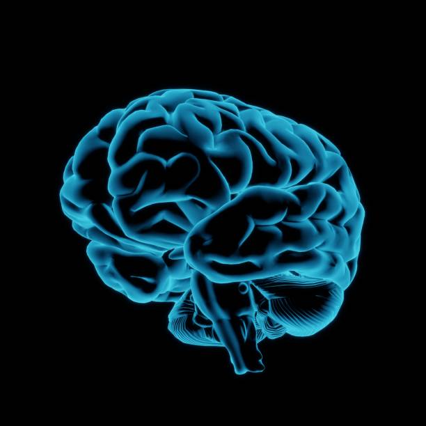 istock hologram glow blue light human brain isolated on black background. concept of intelligence brain isolated background. 3d illustration 1483267258