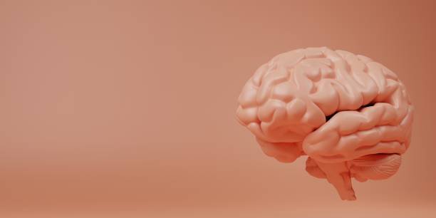 istock concept of Artificial intelligence. cute human brain with calming coral color background. 3d illustration 1483267269