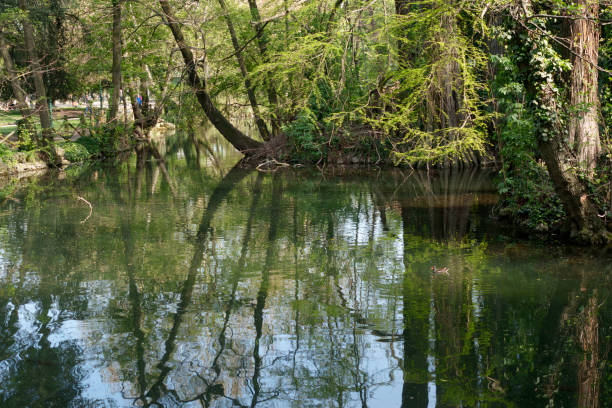 istock Giardini Montanelli, public park in Milan at springtime 1483267372
