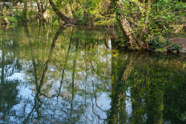 istock Giardini Montanelli, public park in Milan at springtime 1483267445
