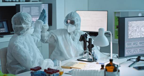 istock High five, covid and scientists doing research in lab on virus, medical development or bacteria. Happy, success and people with gesture for achievement in biohazardous study and illness breakthrough 1483268168