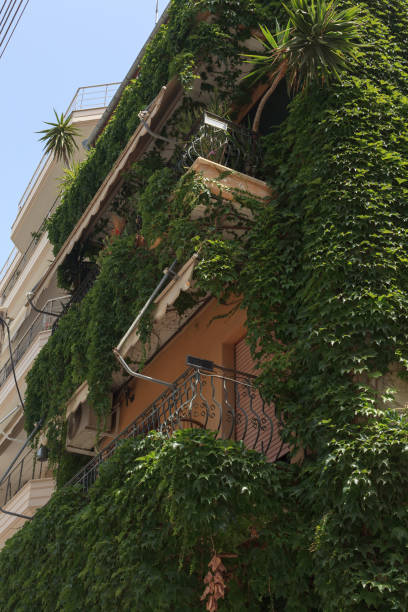 istock greek living house 1483268206