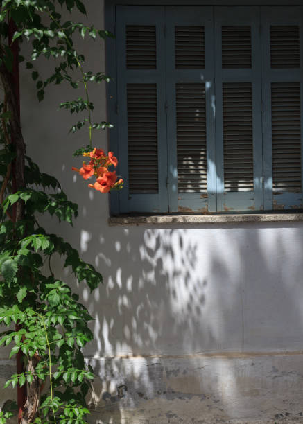 istock greek living house 1483268706