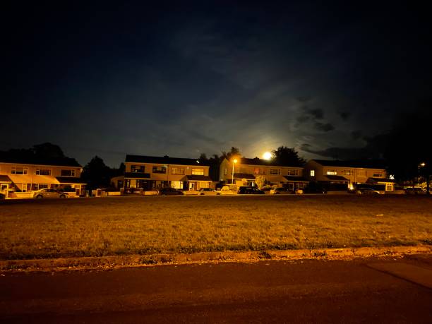 An autumn night filled with twinkling starlight