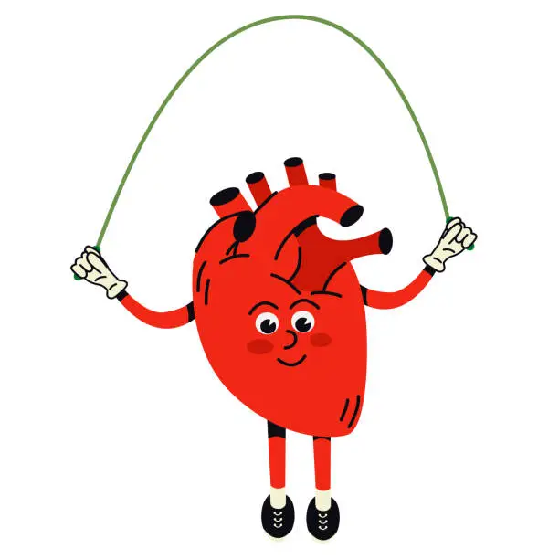 Vector illustration of Happy healthy smiling cartoon heart,human organ,  jumping with skipping rope. Cartoon human organs.