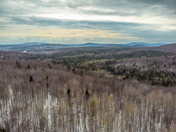 istock Aerial view of forest and mountain 1483271601