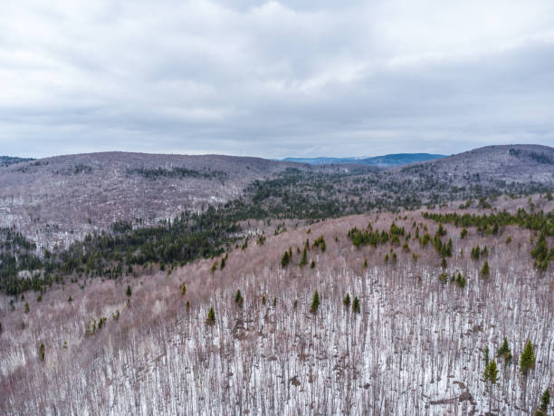 istock Aerial view of forest and mountain 1483271651
