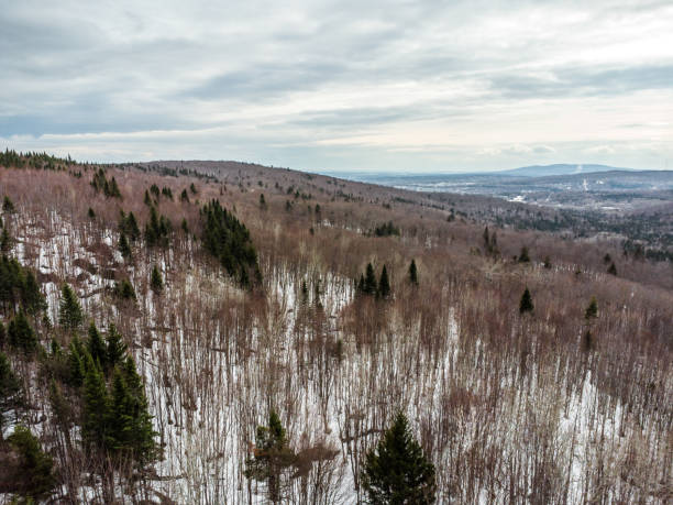 istock Aerial view of forest and mountain 1483273862
