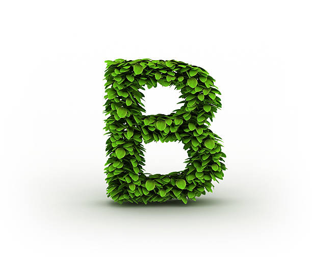 istock Letter B, alphabet of green leaves 148327565