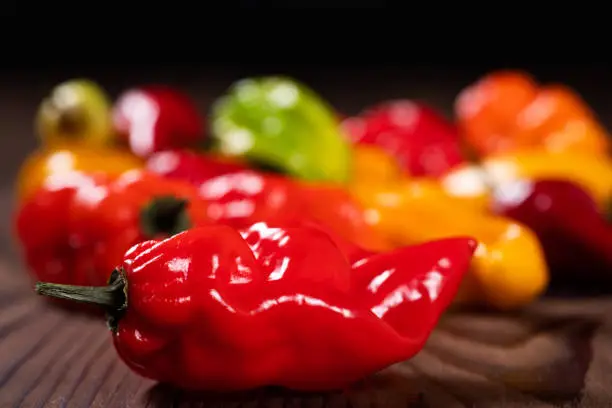 Photo of a colorful mix of the freshest and hottest chili peppers