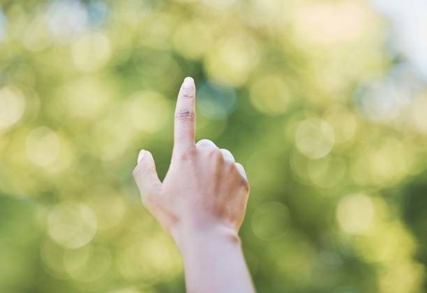 istock Hand, index finger and pointing in nature, outdoors or at park at something. Direction, bokeh and hands point up for gesture, signal or sign language, counting fingers or emoji, mathematics or timer. 1483280688