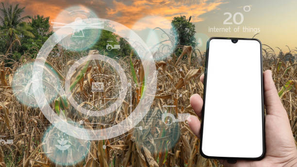 istock Futuristic businessman farms vegetables and crops using modern AI technology using mobile phones, temperature and humidity sensors, water tracking, climate control, holographic data data icons. 1483280870