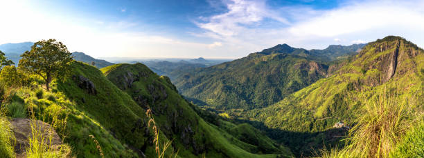 istock Panoramic view of Mini Adams Peak, Ella, Sri Lanka 1483283372