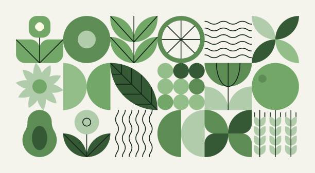 stockillustraties, clipart, cartoons en iconen met geometric natural pattern. abstract fruit leaf plant simple shape, minimal floral eco agriculture concept. vector banner - leefomgeving