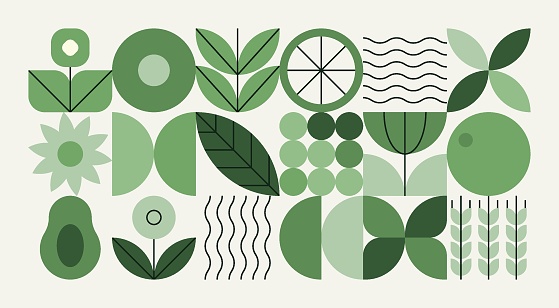 Geometric natural pattern. Abstract fruit leaf plant simple shape, minimal floral eco agriculture concept. Vector banner.