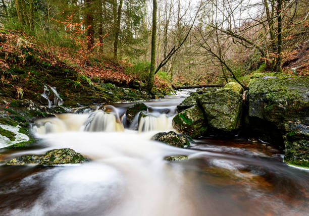 istock Creative High Fens, Belgium pictures 1483289536