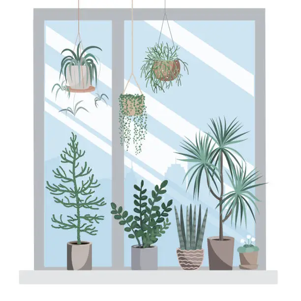 Vector illustration of Interior with hanging home plants and houseplants on the windowsill. Cozy home or office design element. Vector isolated illustration in a flat styl