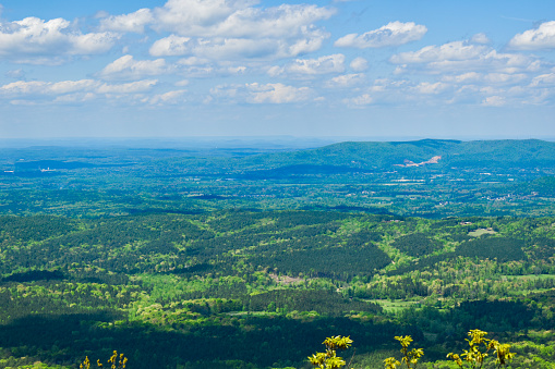 Discover the majesty of Alabama’s landscape from the highest point, showcasing the serenity of Talladega Forest and the bustling cityscape in the distance