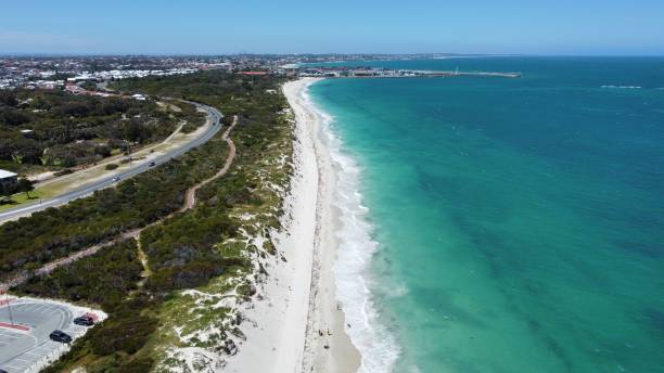 istock Aerial view of sandy beach with soft ocean waves 1483296922